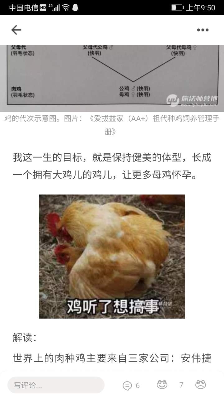 22 09:51 43 踩 回复1举报 最新按时间排序 鸡没有鸡儿,倒是鸭有鸡儿