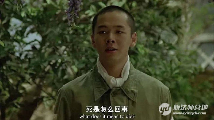 这群年轻人 为何要用这种可怕的方式死去 这群年轻人 为何要用这种可怕的方式死去